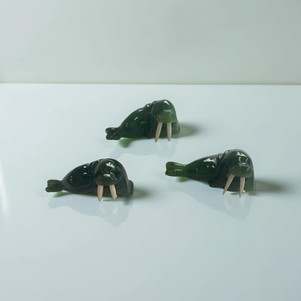 Jade Walrus