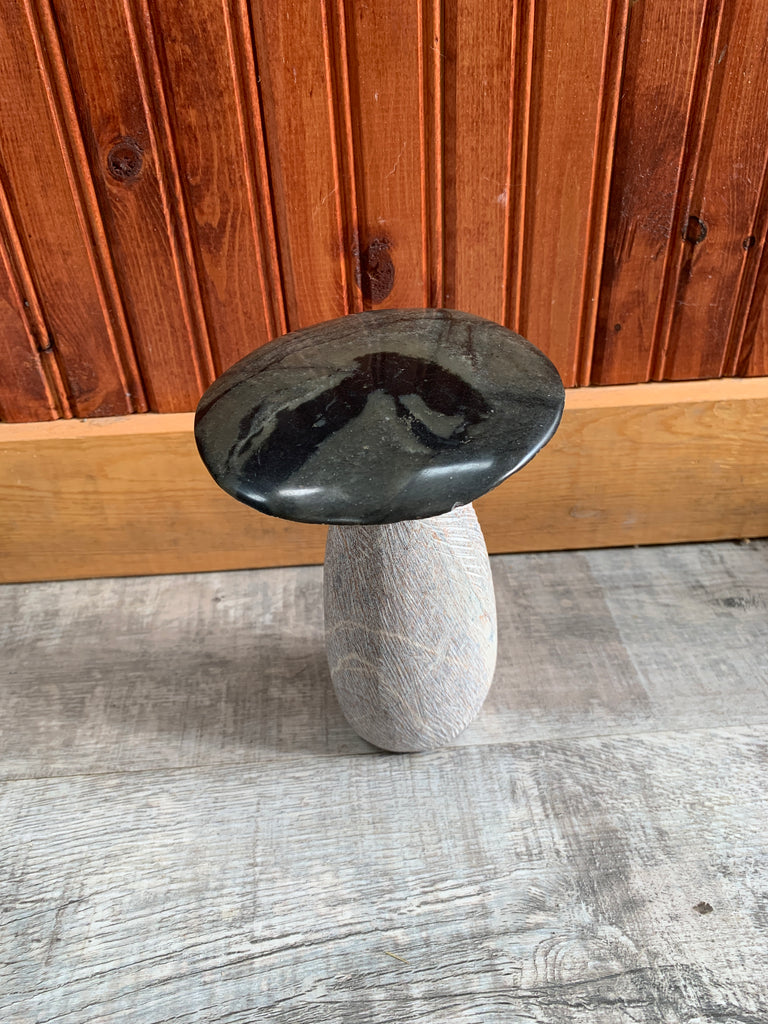 Stone Mushroom Collection