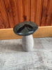Stone Mushroom Collection