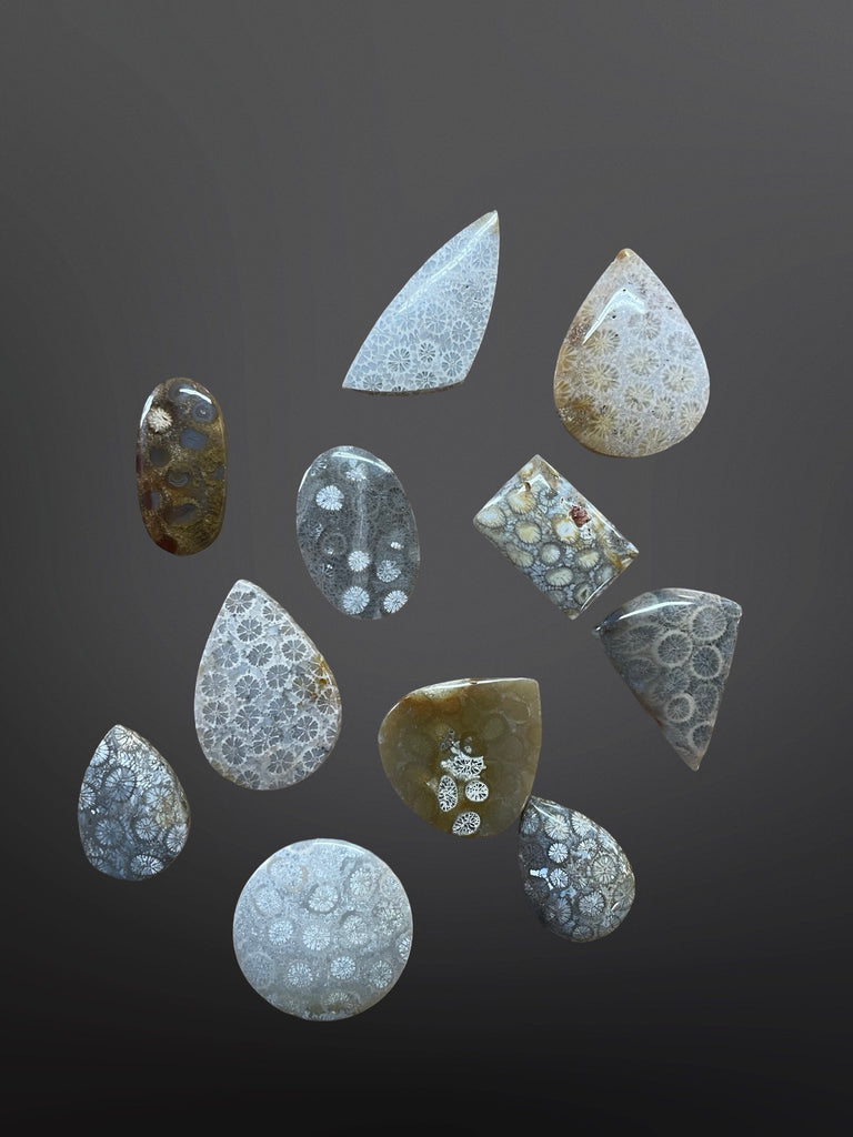 Coral cabochons