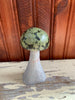 Stone Mushroom Collection