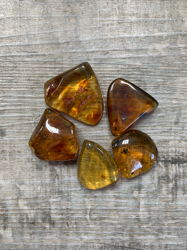 Mexican Amber