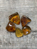 Mexican Amber