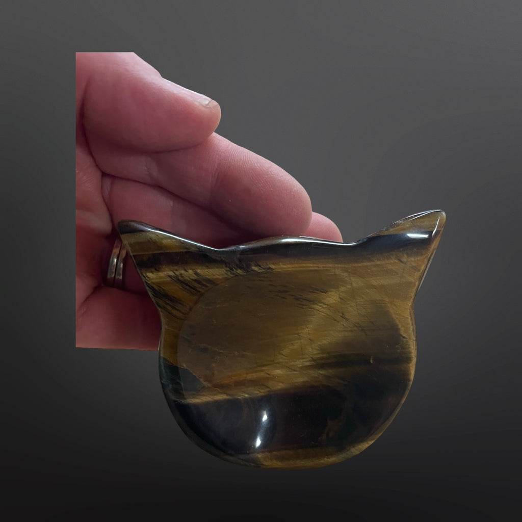 Tiger eye cat bowl