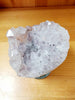 Amethyst Flowers