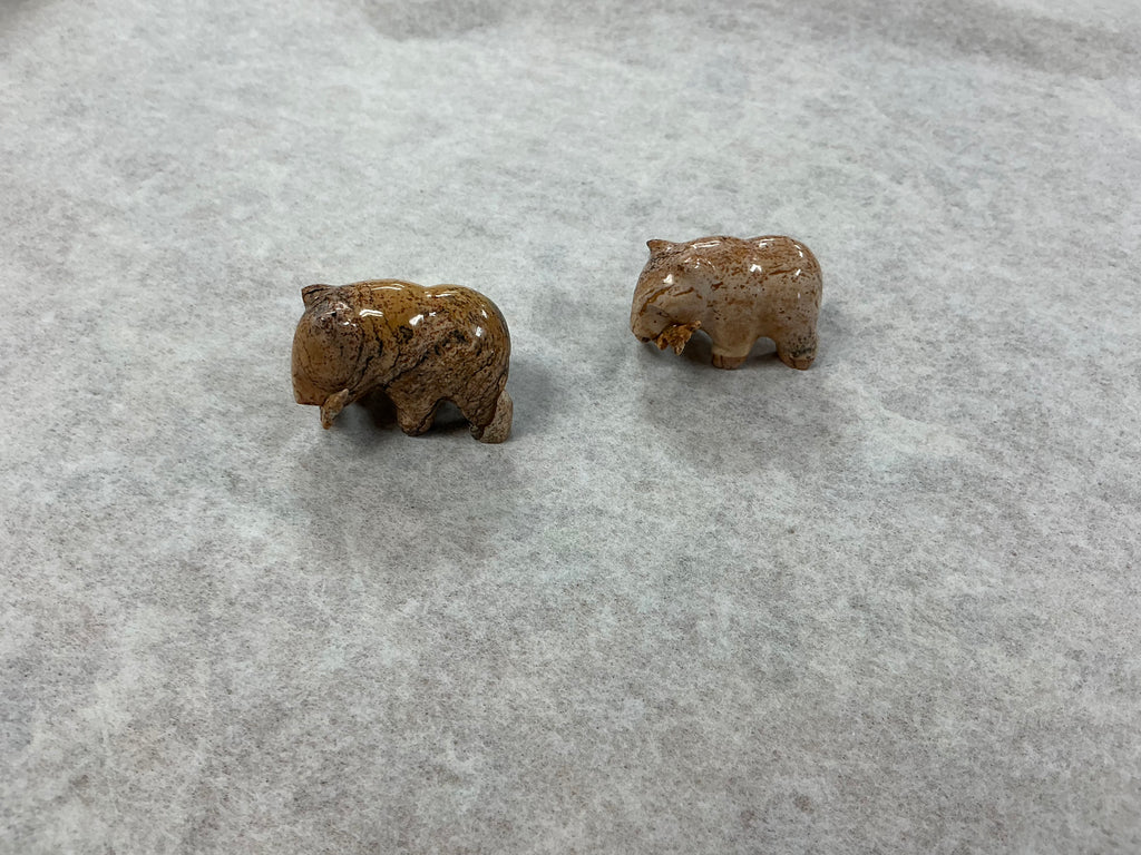 Jasper Bear