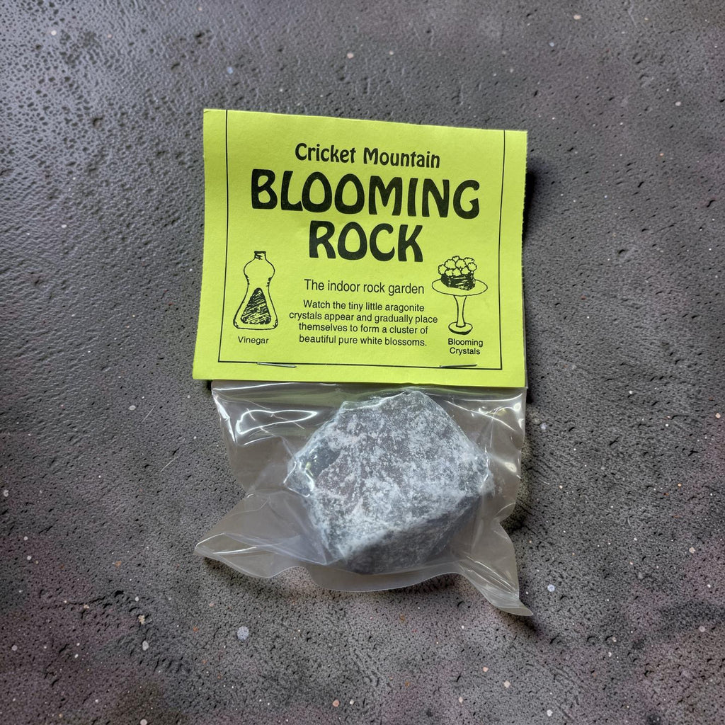 Blooming Rock!
