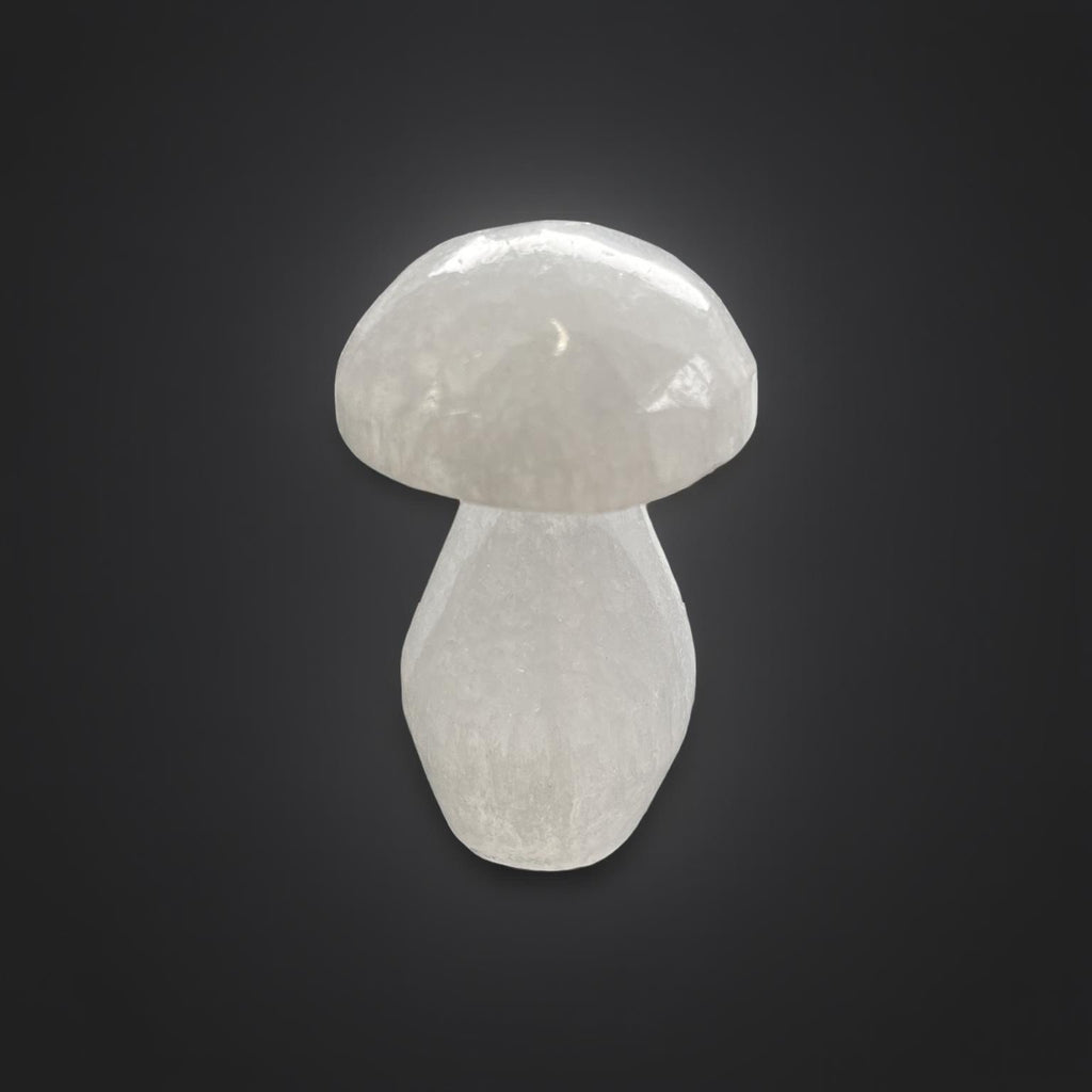 Selenite mushroom