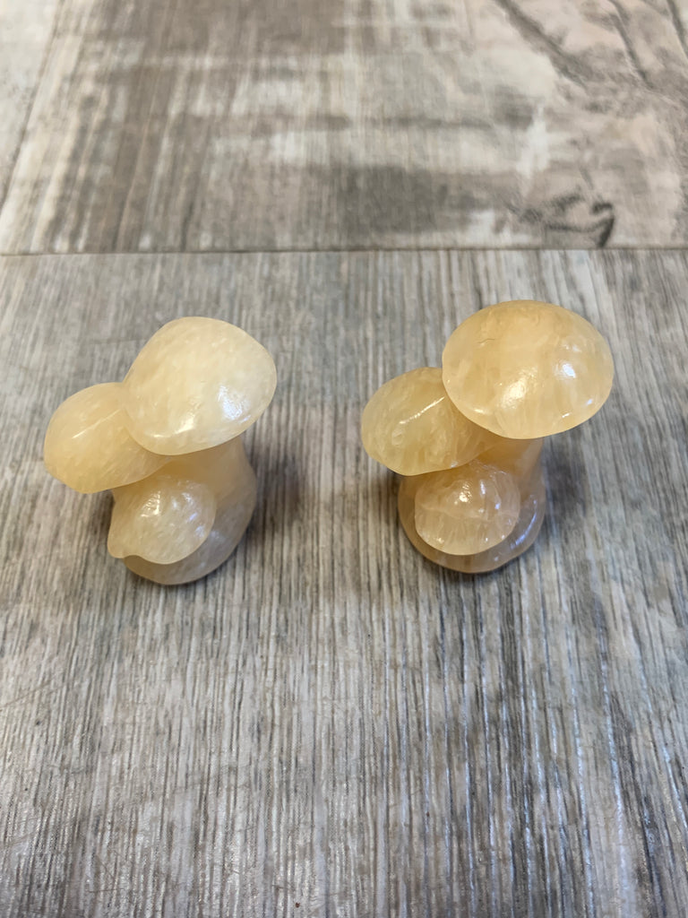 Triple Mushroom