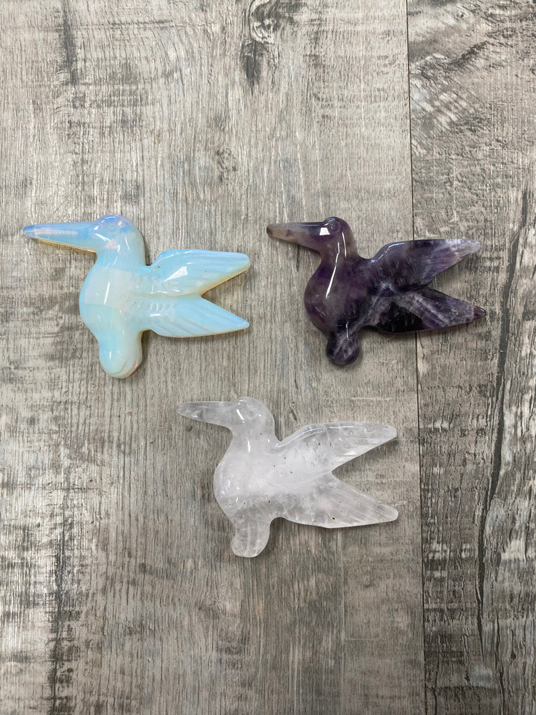 Assorted Hummingbird