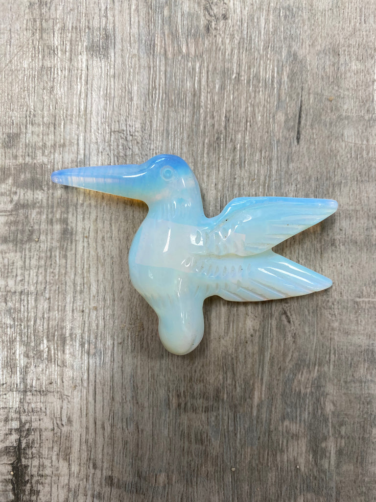 Assorted Hummingbird
