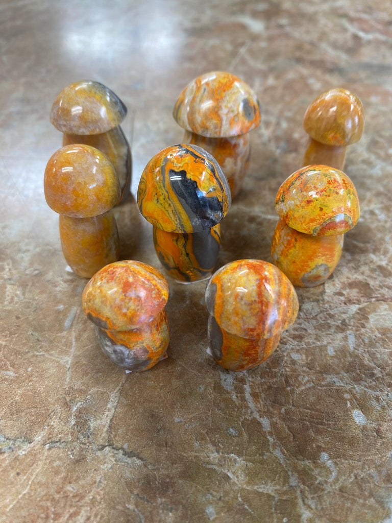 Jasper Mushrooms