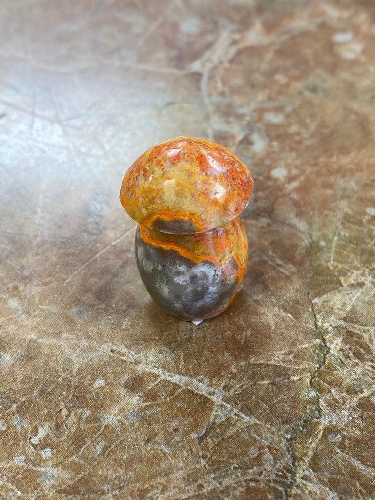 Jasper Mushrooms
