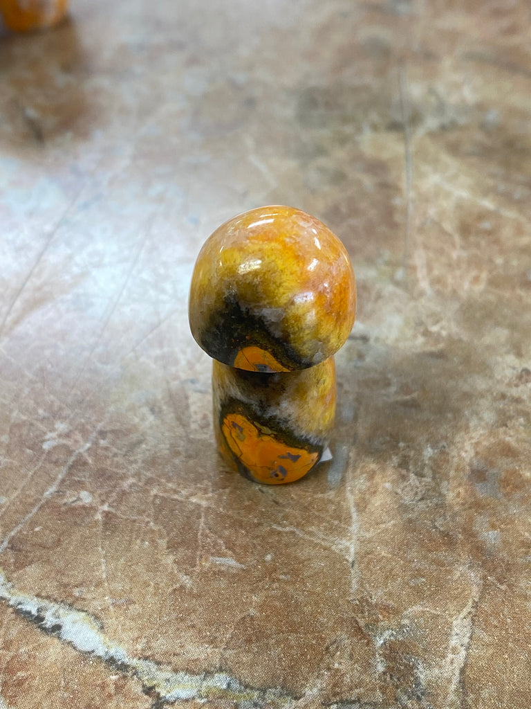 Jasper Mushrooms