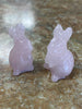 Assorted Rabbit Small
