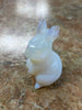 Assorted Rabbits big