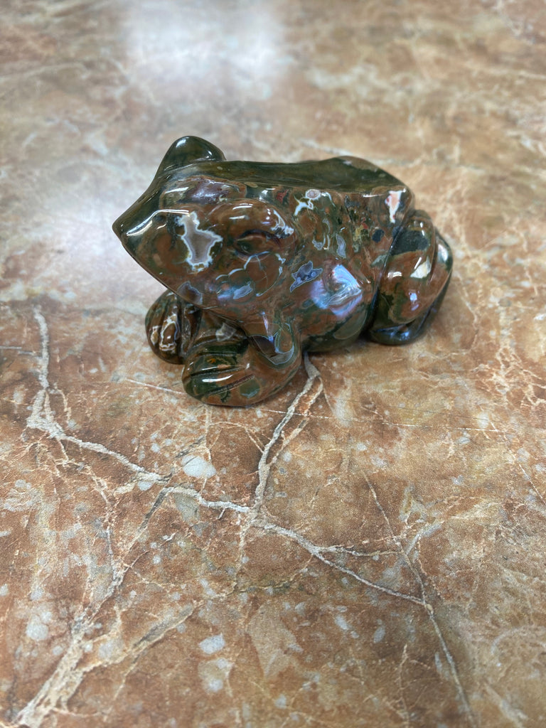 Rainforest Jasper Frog Small