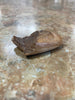 Walrus Tusk Fossil