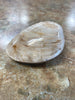 Clam Fossil