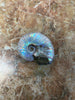 Ammonite