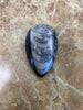 Worm Fossil