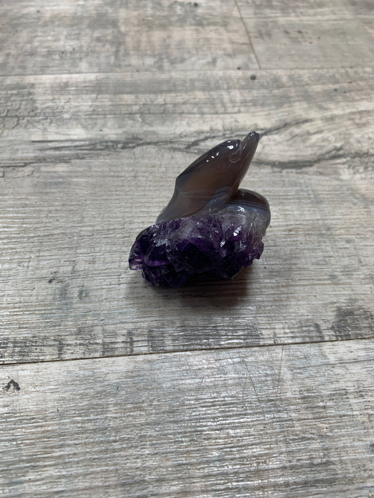 Amethyst Dolphin
