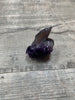 Amethyst Dolphin