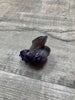 Amethyst Dolphin