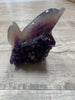 Amethyst Double Dolphin