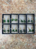 Jade Earrings Gold/Silver