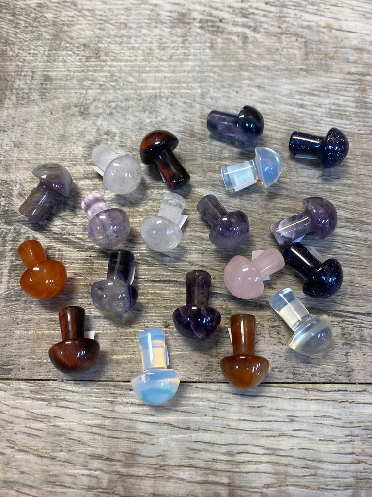 Assorted Gemstone Mushrooms