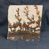Fossil Stone - flora