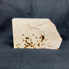 Fossil Stone - flora