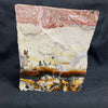 Fossil Stone - flora