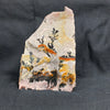 Fossil Stone - flora