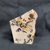 Fossil Stone - flora