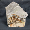 Fossil Stone - flora