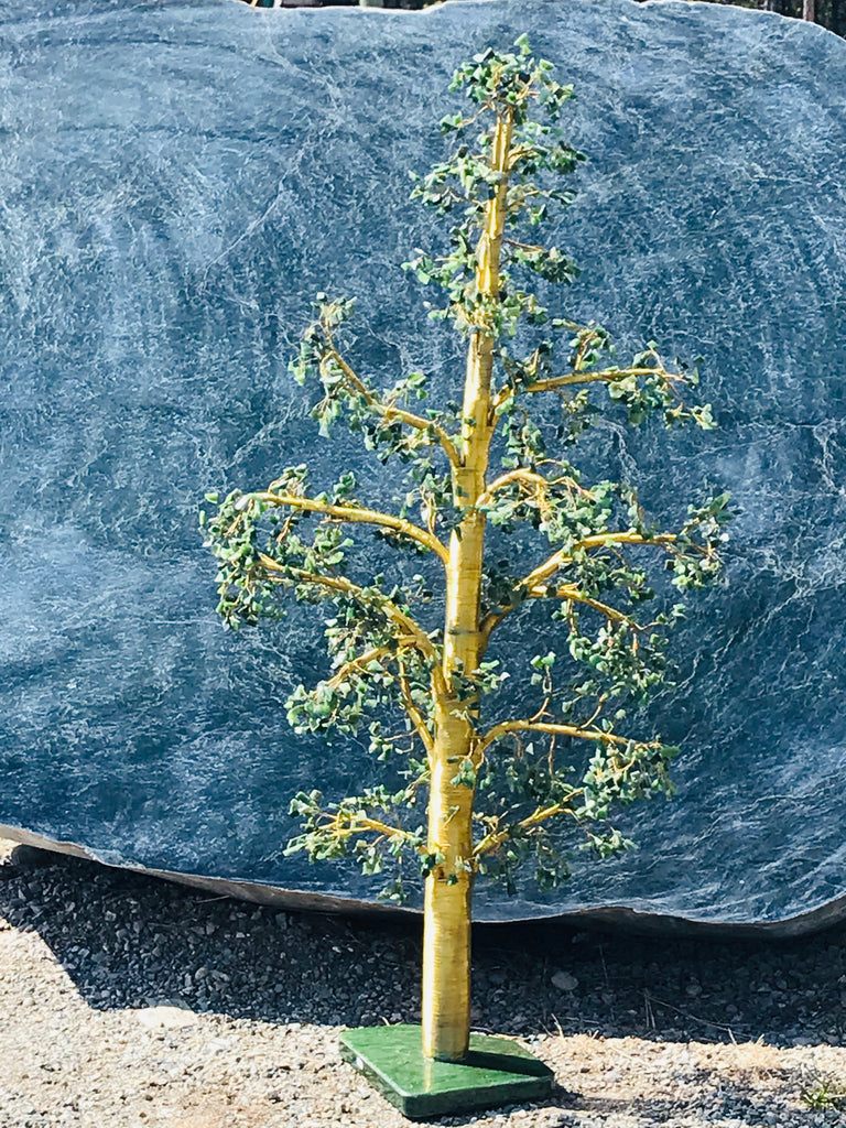 Jade Tree