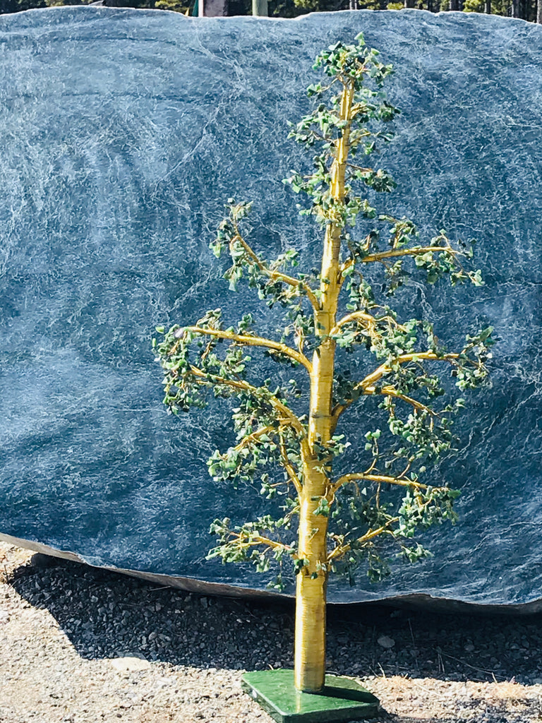 Jade Tree