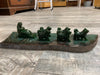 Dog Sled Teams